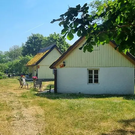 Paerdi Suvemaja Koguva